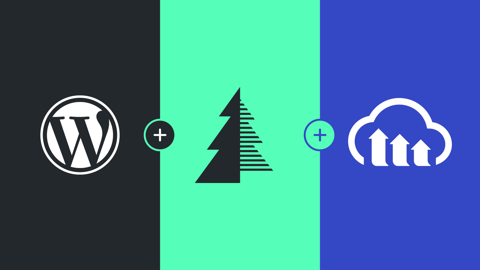 How to Resize Cloudinary Images in WordPress Timber Templates